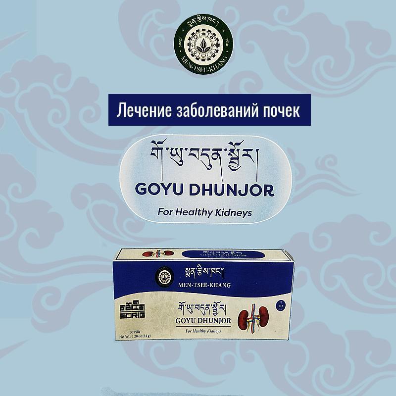 Заболевания Почек. Goyu Dhunjor - 30 пилюль — изображение 4