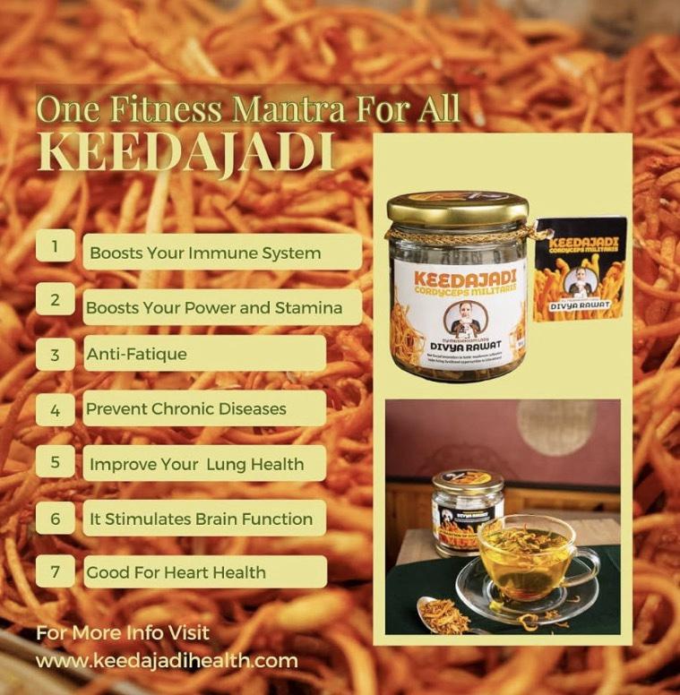 Кордицепс военный (Cordyceps militaris) 🍄 30 грамм — изображение 4