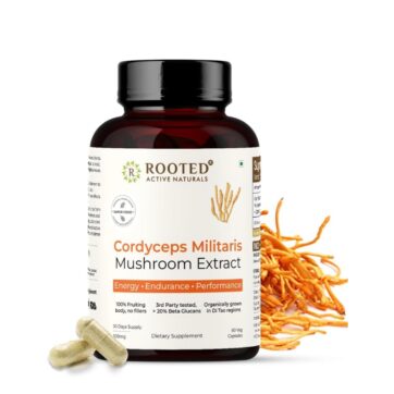 Cordyceps Гриб (Кордицепс) — для энергии, иммунитета и выносливости, 60 капсул