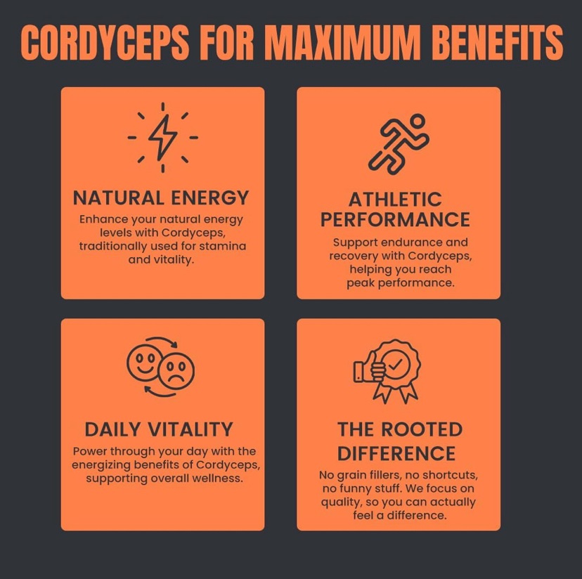 Cordyceps Гриб (Кордицепс) —  для энергии, иммунитета и выносливости, 60 капсул — изображение 2