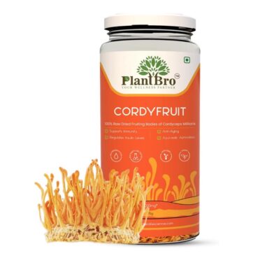 CordyFruit — 100% сырые плодовые тела Cordyceps Militaris (Кордицепс военный) для энергии и иммунитета, 40 г