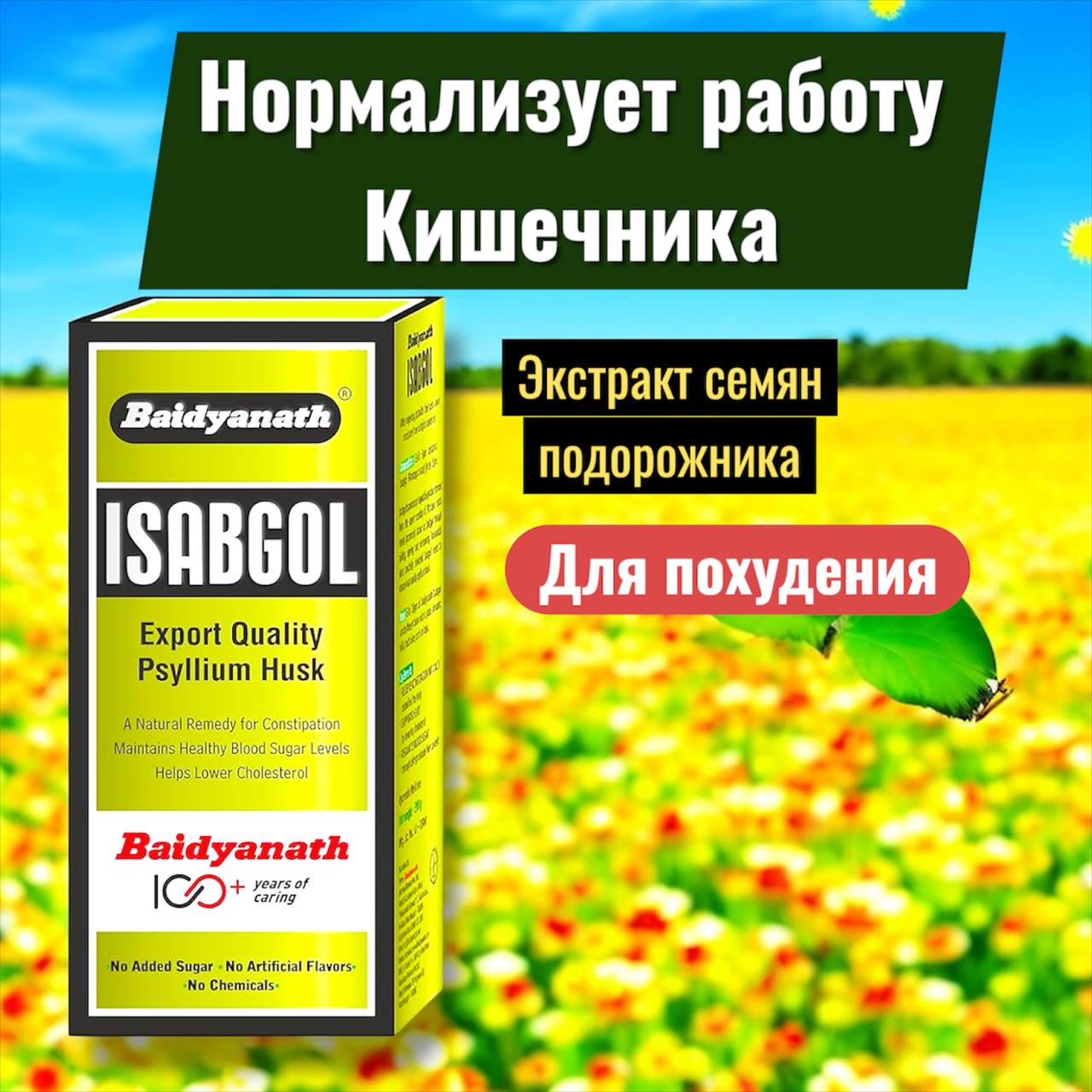 Натуральная клетчатка для здоровья кишечника. Индийский подорожник