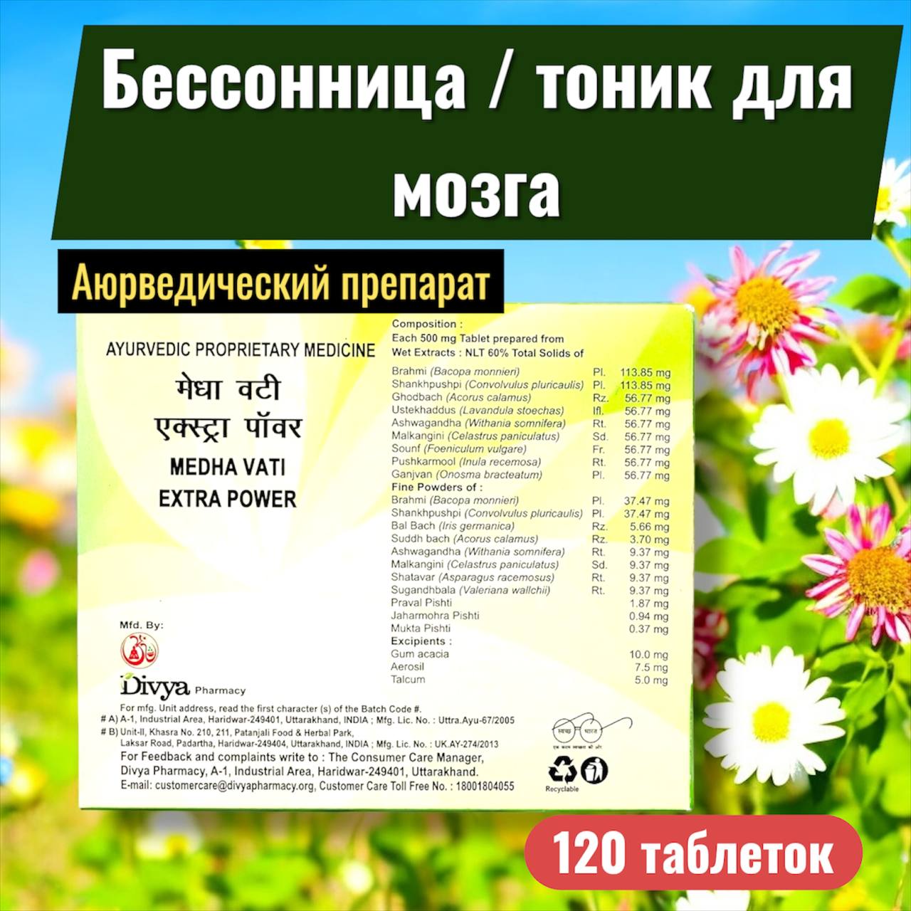 DIVYA MEDHA VATI Extra Power - аюрведический препарат для поддержки мозга — изображение 2