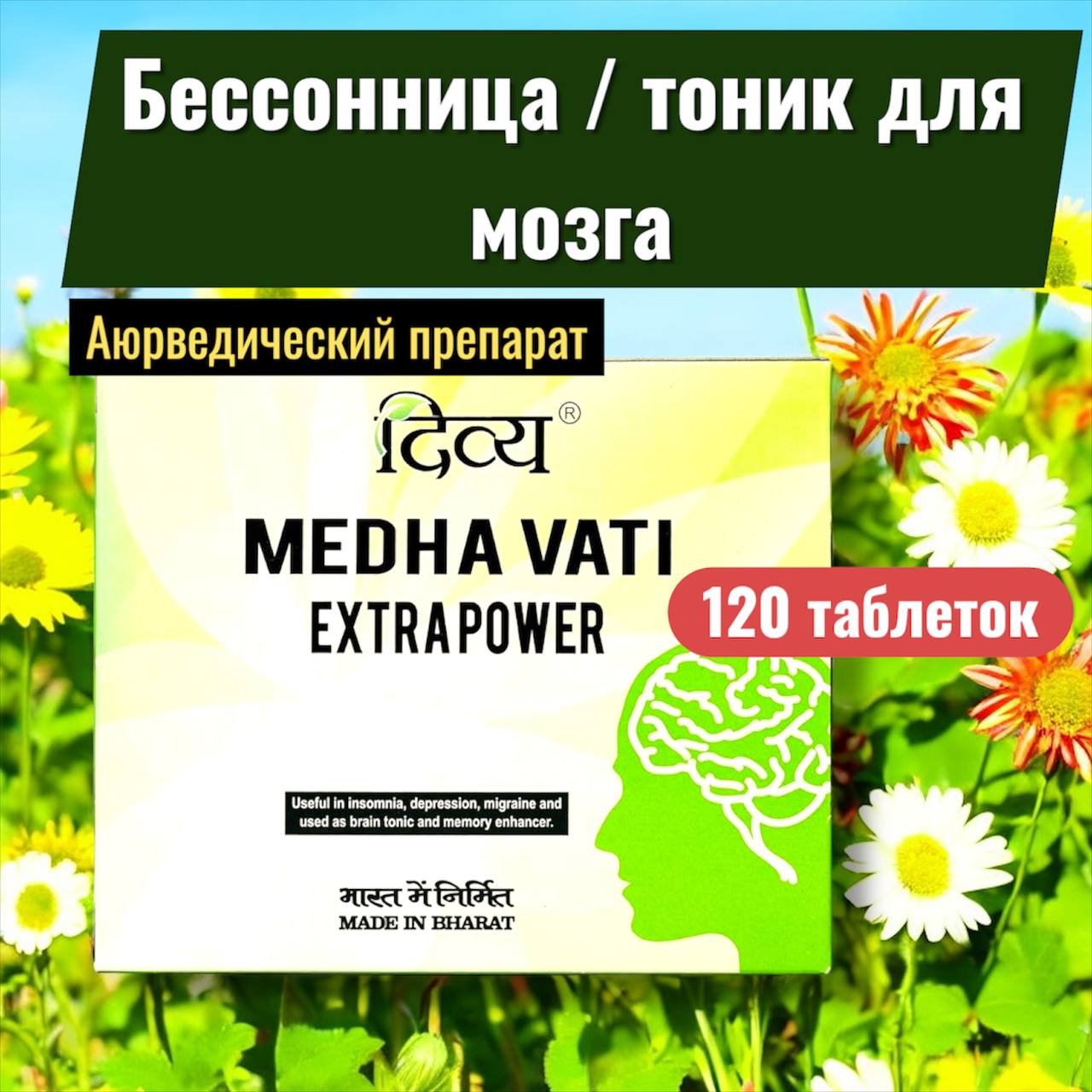 DIVYA MEDHA VATI Extra Power - аюрведический препарат для поддержки мозга — изображение 3
